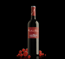 Crianza 2008